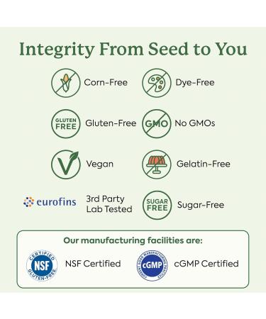 Plant People - WonderDay Mushroom Gummies Mini | Daily Gummy Multi Support for Whole Body Balance, Mood, De-Stress, Energy, Immune and Gut Health | Natural, Vegan, Non-GMO | Trial Size - Buy Online on GoSupps.com