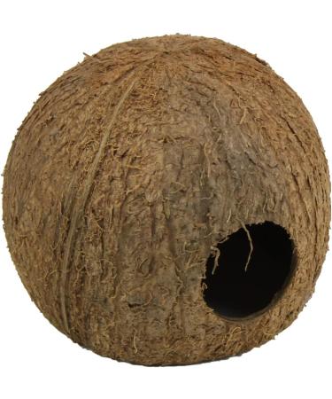 JBL 61512 Cocos Cava Coconut Shell Cave for Aquariums & Terrariums - Natural Hideout for Fish & Reptiles - Buy Online on GoSupps.com