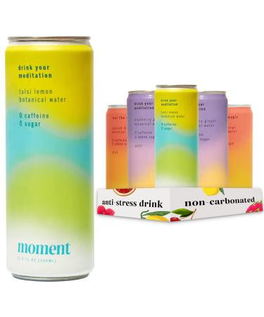 Moment Botanical Drink (as seen on Shank Tank) - STILL Combo Variety. Contains Adaptogens and Nootropics. L-Theanine and Ashwagandha for Focus & Stress Relief. 0 Added Sugar, 0 Caffeine. Keto. Low Calorie (11.5 fl oz, 12-pack) Combo Variety 11.5 Fl Oz (Pa