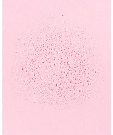 Earth Harbor Tidal Rose Crystal Hydration Toner | Soothes Inflammation | Rose Water + Rose Quartz + White Tea | 100% Natural & Cruelty-Free - Buy Online on GoSupps.com