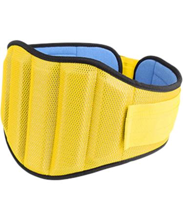 Orthopedic Cornerstick Tiller Belt Back Support | Spinal Support & Weight Leverage Training Equipment - Ideal for Fitness & Safety - Buy Online on GoSupps.com