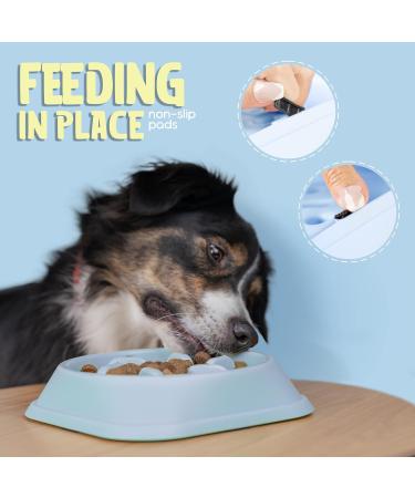 Purrfects Slow Feeder Dog Bowl (Sky Blue) - Anti Choke and Bloat - Dog Slow Feeder for Slower Feeding - Buy Online on GoSupps.com