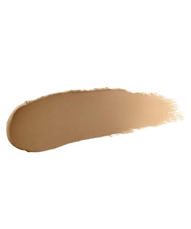 Maybelline Facestudio Master Blur Stick Primer Makeup Medium/Tan 0.3 oz - Pack of 1 - Buy Online on GoSupps.com