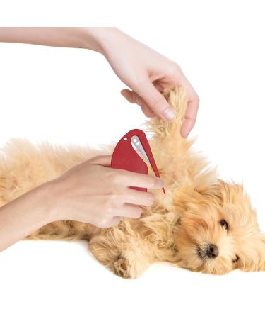 Display Knife Cat - 10-Piece Knot Comb Set for Pet Care | Hair Removal & Massage Tool for Cats (Red) - Buy Online on GoSupps.com