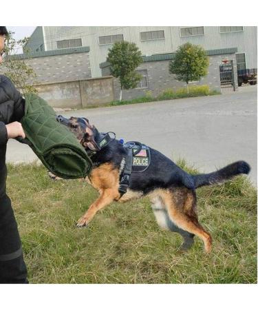 ppactvo Dog Bite Training Dog Bite Sleeve For Large Dog Training Full Arm Protection Biting Sleeve Training Suit Arm Guard Protection Cover With Handle Both Left And Right Hand green - Buy Online on GoSupps.com