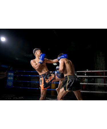 Paosing Muay Thai Logo Shorts - Blue/Orange (Medium-Large) | Official Muay Thai Apparel - Buy Online on GoSupps.com