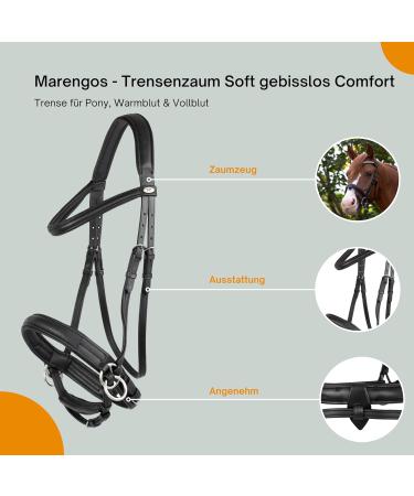 Marengos Soft Bitless Comfort Bridle - Anatomical Leather Bridle with Reins & Stainless Steel Fittings for Horses (Black) - International Shipping - Buy Online on GoSupps.com