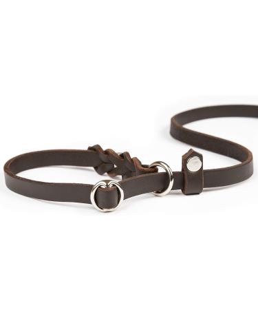 Shop Copcopet Cognac Dog Leash - 1.60m x 15mm Fat Leather & Chrome-Plated Perfect for Retrievers & Agility Training - International Shipping Available - Buy Online on GoSupps.com