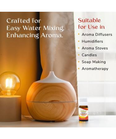 Kabod Cinnamon Apple Essential Oil - Aromatherapy Blend for Diffusers Humidifiers Aroma Stoves Soap and Candles - Fragrance Oil for Home - 10ML Bottle with Dropper Cinnamon Apple 0.34 Fl Oz (Pack of 1) - Buy Online on GoSupps.com
