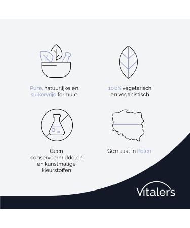 NMM Sp z oo Vitalers Chaga 500 mg 60 capsules vegan 2 months supplementation no preservatives pure composition - Buy Online on GoSupps.com