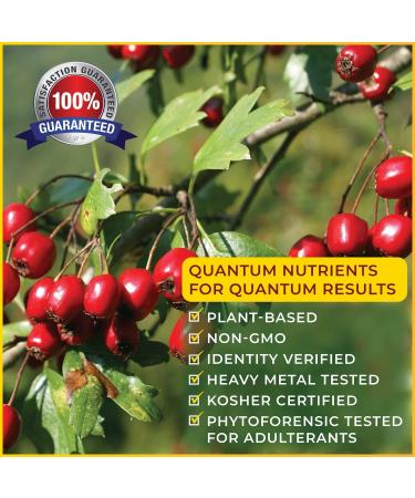 Quantum Blood Pressure Support 60 Caps - Natural Hypertension Relief - Buy Online on GoSupps.com