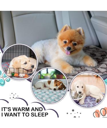Buy NAMALU 4 Waterproof Guinea Pig Fleece Ceilings - Soft Absorbent Reusable Pipi Pads for Small Dogs & Guinea Pigs - Heart Pattern 60 x 40 cm - Buy Online on GoSupps.com