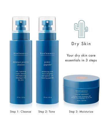 Bioelements Moisture Positive Cleanser - 6 fl oz | Rich Vegan Facial Cleanser for Dry Skin - Buy Online on GoSupps.com