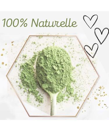 100% Natural Ayurveda Powder from SIDR (Jujube) 100g | Cosmethics | Enhance Volume & Shine for Scalp - Buy Online on GoSupps.com