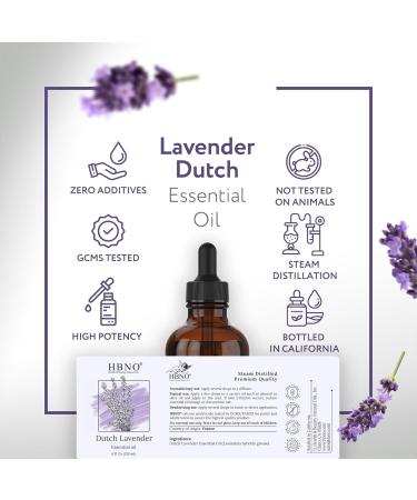 HBNO California Bottled Dutch Lavender Essential Oil 4 fl oz (120ml) - Natural Lavender Oil for Skin Perfect for Cleaning Aromatherapy DIY & Diffuser Lavender 4 Fl Oz (Pack of 1) - Buy Online on GoSupps.com