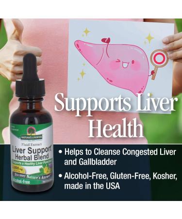Nature's Answer Liver Support - Alcohol-Free, 2000mg - 1 fl oz (30 ml) Botanical Extract - Buy Online on GoSupps.com