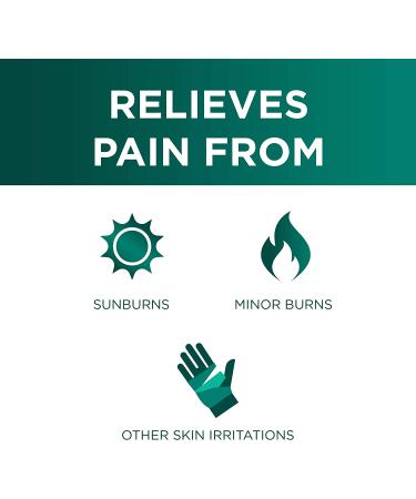 Dermoplast Sunburn Relief Spray with Benzocaine, Menthol, Aloe & Lanolin 2.75oz - Fast Relief for Burns (Pack of 1) - Buy Online on GoSupps.com