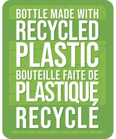 NOW Supplements CurcuBrain 400mg Capsules 50 Count - Buy Online on GoSupps.com