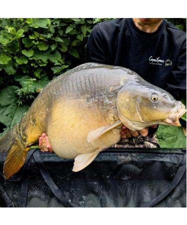 CarpeXpert - Pop-up Pepper Pulse - 15mm - Boilie Floating Boosted & Hyperprotein - Continuous Diffusion over 22h+ - 50g - Car - Buy Online on GoSupps.com