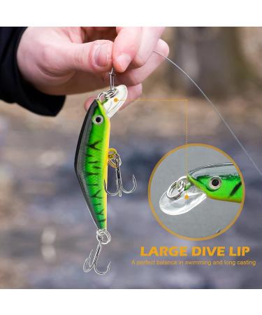 Fishing Lures Set - Minnow Popper Crank Baits Pencil Bass Trout with Hooks - Topwater Hard Swimbaits for Saltwater Freshwater - 10pc 2.68oz - Buy Online on GoSupps.com