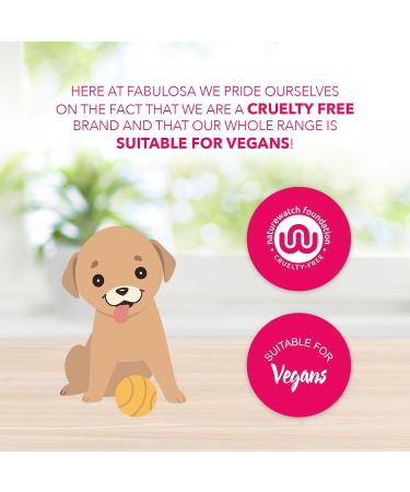 Fabulosa Multi Purpose Multi Surface Odour Removing Disinfectant White Vinegar Cleaning Spray 500ml 9 Pack Rose 1 count (Pack of 9) - Buy Online on GoSupps.com