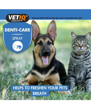 VetIQ 2in1 Gum Shield Spray 100ml Dog Toothpaste AlternativeTo Prevent Plaque Freshen Dog & Cat Breath with Peppermint Pomegranate Parsley Seed Oil Cat & Puppy Toothpaste Alternative or Teething 100 ml (Pack of 1) - Buy Online on GoSupps.com