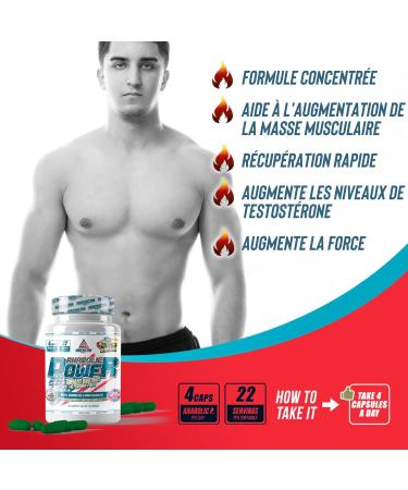 AS American Supplement | Anabolic Power | 90 Capsules | Neutral Flavor | Natural Anabolic | Helps Increase Muscle Mass | Enriched with Ginkgo Biloba - Buy Online on GoSupps.com