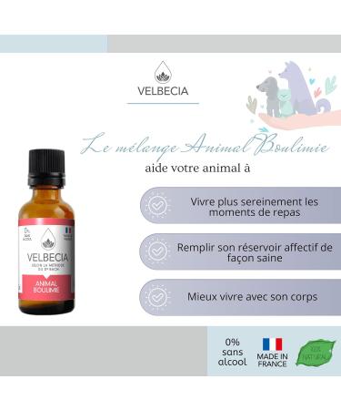 Animal boulimie 50ml +1 OFFERT Elixirs de fleurs SANS ALCOOL - M thode du Dr Bach - Pour chat chien insatiable vorace go lu glouton - Buy Online on GoSupps.com