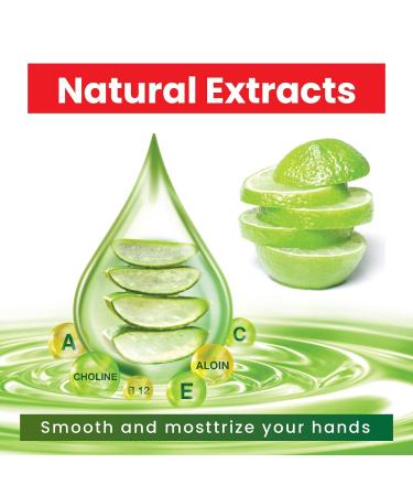 AMERICAN RAVEN Mini Travel Hand Sanitizer Gel Pack - 12 Assorted Fruits with Aloe Vera - Bulk Travel Size Pack - Buy Online on GoSupps.com