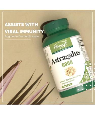 VORST Astragalus 6000mg Raw Equivalent (1500mg With 4:1 Extract Ratio) 180 Vegan Capsules | Supplement for Boosting Immune System | Root Powder Pills | 3 Bottles 1 count (Pack of 540) - Buy Online on GoSupps.com