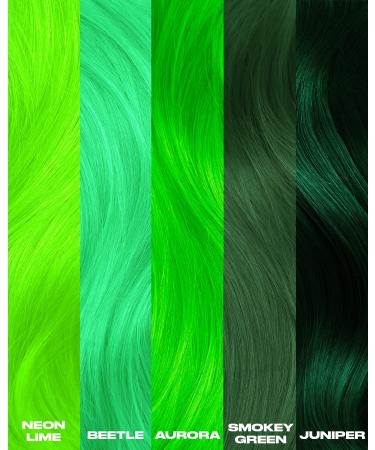 Lunar Tides Aurora Green Hair Dye - Semi-Permanent Color - 8 oz | Vibrant Green Hair - International Shipping Available - Buy Online on GoSupps.com