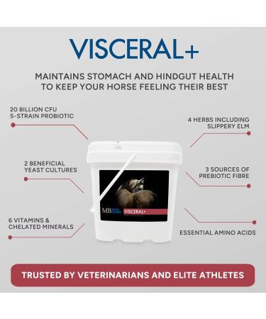Mad Barn - Visceral+ - Supplement for Horse Gut Health and Digestion 5 kg 5kg - Buy Online on GoSupps.com