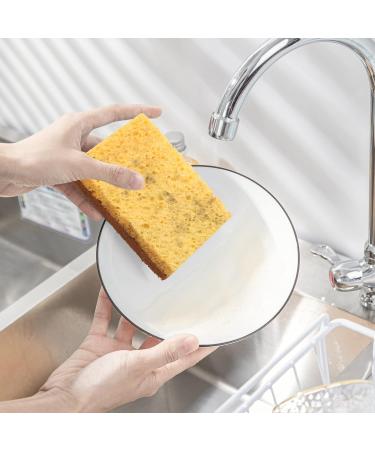 Dewedrt 16 Pack Biodegradable and Compostable Sponges Scouring Pad Palm Fiber Eco-Friendly Sponge for Kitchen Dishes Cleaning - Buy Online on GoSupps.com