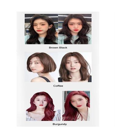 Natural Plant Bubble Hair Dye | Pure Plant Extract for Grey Hair | Black Bubble Dye Shampoo | Plant-Based Hair Color Solutions - Buy Online on GoSupps.com