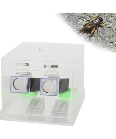 Cricket Keeper Cricket Care Kit Acrylic Feeding Cricket Pen with Food and Water Feeding Tub Insect Cockroach Care Reptile Tank Box for Home Office Cricket Feeding(L) - Buy Online on GoSupps.com