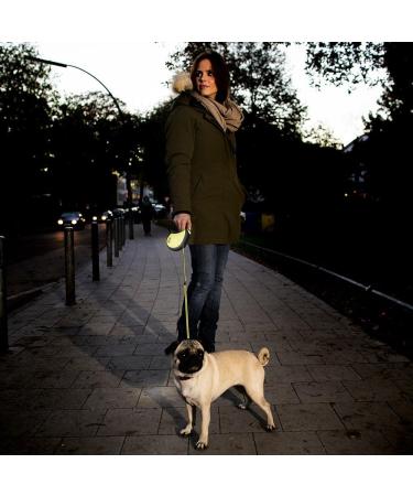 Flexi Roll-Line Neon Reflective Rope 5m for Dogs Up to 20kg - Classic Pink - Buy Online on GoSupps.com
