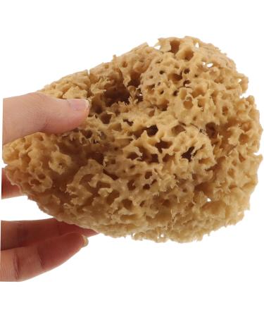 Beavorty Exfoliating Bath Shower Sponge | Honeycomb Body Scrubber for Radiant Skin - International Shipping Available - Buy Online on GoSupps.com