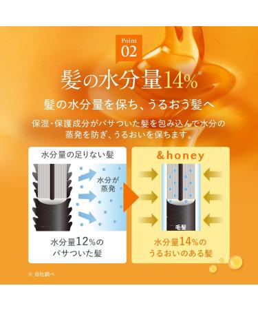 Honey Melty Moist Repair Shampoo & Treatment Set | Organic Deep Nourishment for Frizzy Wavy Curly Hair - International Shipping Available - Buy Online on GoSupps.com