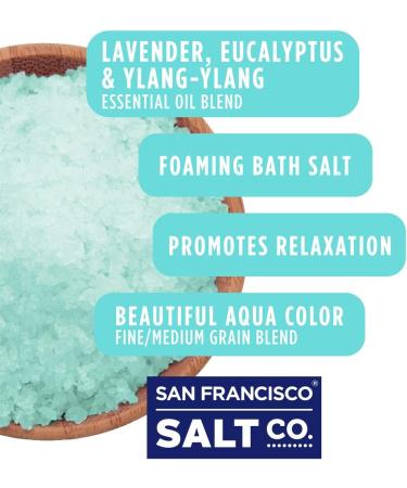 Harmony Foaming Bath Salts - 2 lb. Luxury Bag by San Francisco Salt Company - Relaxing Bath Soak - 2 Pound Pack - Buy Online on GoSupps.com