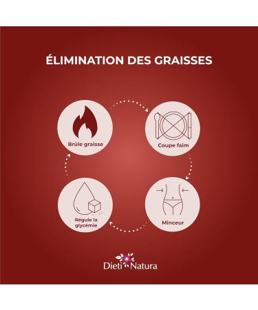 DIETI NATURA - Fat Burner Complex - Slimming Capsules - Promotes Weight Loss - Guarana - Non-GMO Gluten & Lactose Free - Made in France - 120 Capsules - Buy Online on GoSupps.com