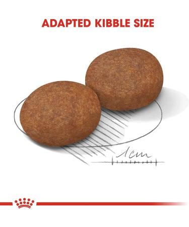 Royal Canin Medium Adult 7+ Dry Dog Food 4kg - Buy Online on GoSupps.com