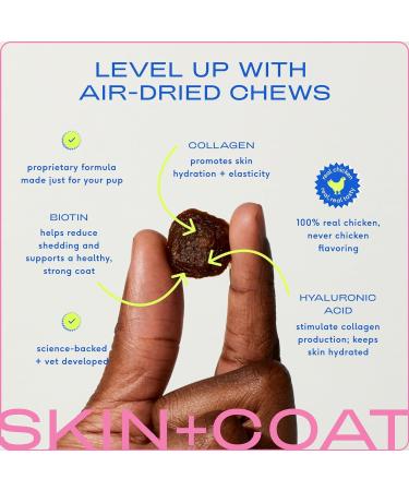 Native Pet Skin and Coat Chews for Dogs - Wild-Caught Salmon Oil Omega 3 Supplements for Shedding & Hair Loss - 30 Chews - Buy Online on GoSupps.com