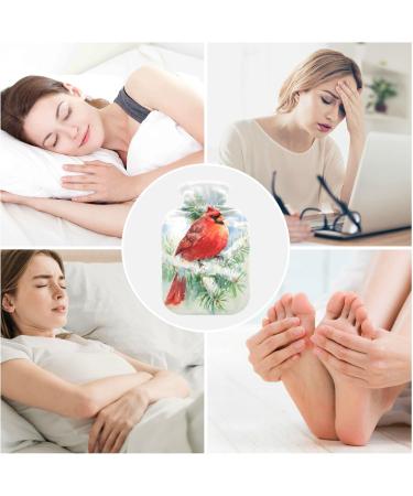 Watercolor Vogel Winter Christmas Heat Bottle - 2L Hand & Foot Warmer for Pain Relief | Hot Water Bed Warmer for Women - Buy Online on GoSupps.com