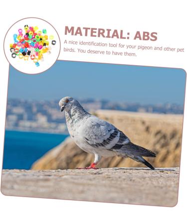 Sosoport 500 Pcs Pigeon Anklet Parrot Bird Chicken Id Bands Numbered Bands Label Meat Pigeon Abs 1.3X1.2X0.7CMx5pcs Colorfulx5pcs - Buy Online on GoSupps.com