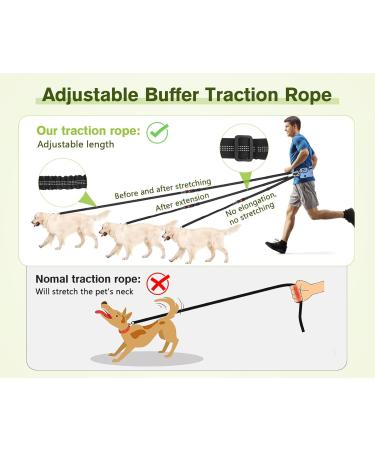 Pecute Jogging Line for Dogs - Elastic Running Leash with Belly Belt for Large & Medium Dogs - Durable Comfortable Up to 100kg - Perfect for Jogging & Outdoor Adventures - Buy Online on GoSupps.com