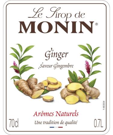 MONIN Premium Ginger Syrup 700ml - Vegan-Friendly for Cocktails & Mocktails - Buy Online on GoSupps.com