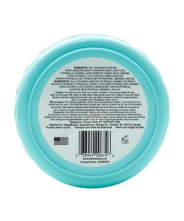 Spring Fresh Tranquil Breeze Perfumed Dusting Powder 5 oz (2 Pack) - Refreshing Scent for Soft Skin - Buy Online on GoSupps.com