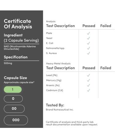 NAD Supplement for Anti Aging and Cell Regeneration (500mg of 95% Pure NAD+ Per Serving 30 Day Supply) Similar to Nicotinamide Riboside (Third Party Tested Vegan Safe Non-GMO) by Double Wood - Buy Online on GoSupps.com