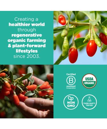 Navitas Organics Goji Berries 16 oz - Organic, Non-GMO, Sulfite-Free Superfood - Buy Online on GoSupps.com