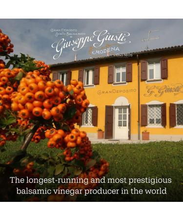 Giusti - Condiment base de Vinaigre Balsamique de Mod ne IGP et Framboise - 100ml Champagnottina - Buy Online on GoSupps.com
